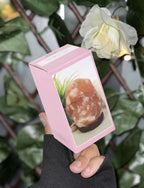 Himalayan Salt Lamp 1.5kg-2kg mains plug in