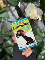 Dog breed signs