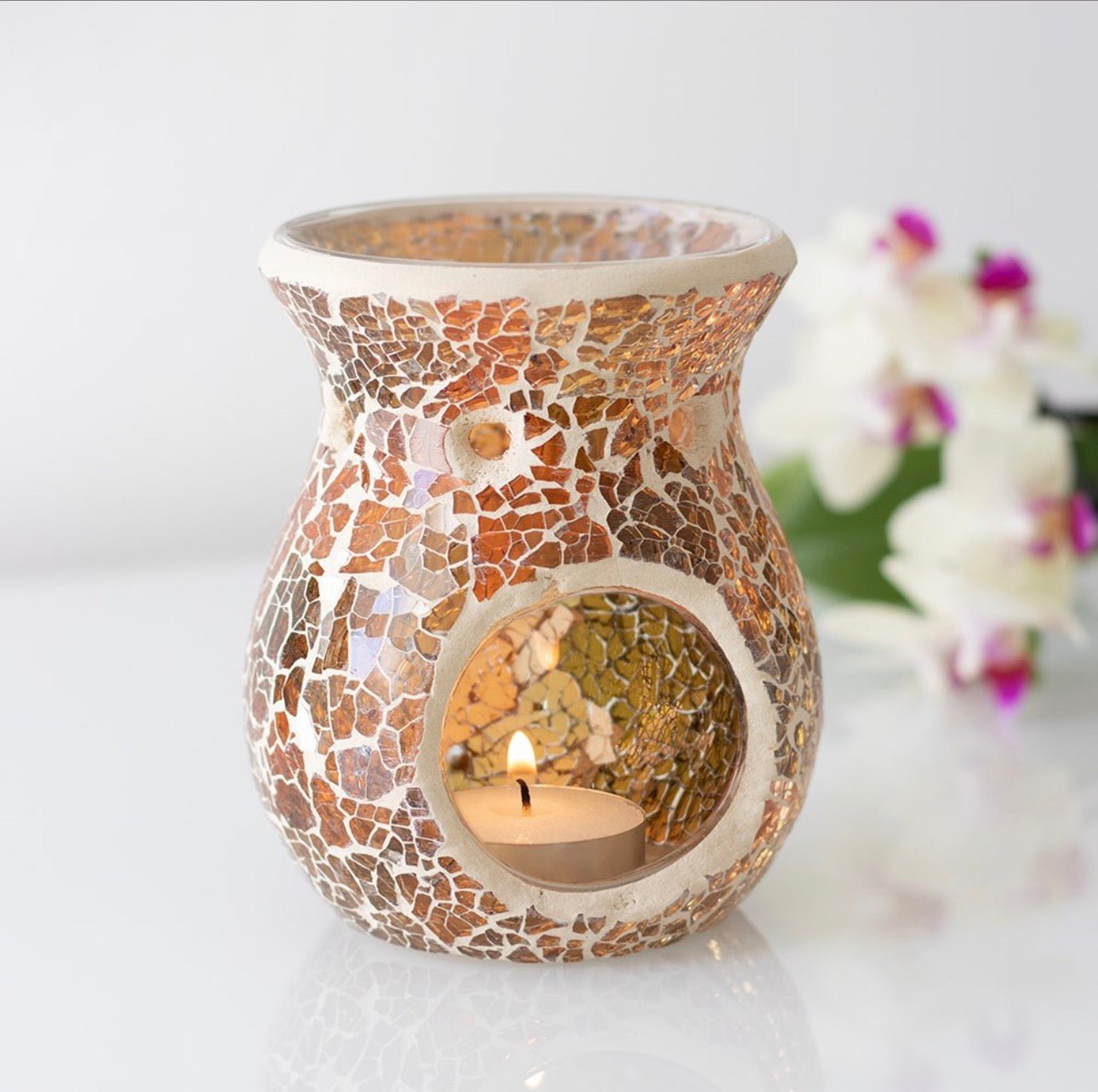 Mystery Wax Burner Bundle Box